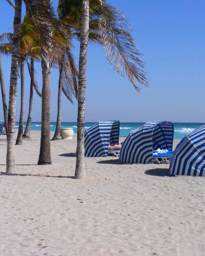 Beautiful Hollywood Beach
