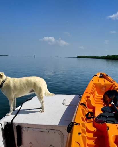 Big pine key