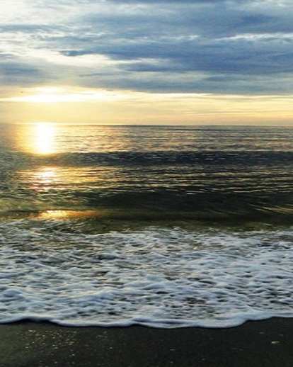 Boca Grande shoreline