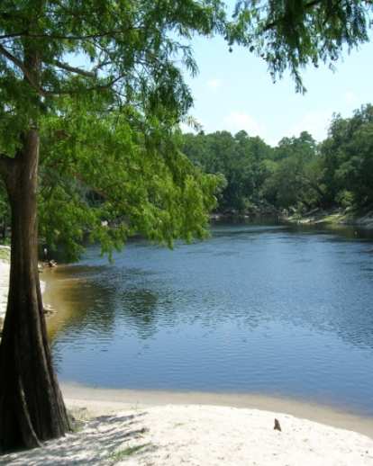 Suwannee River