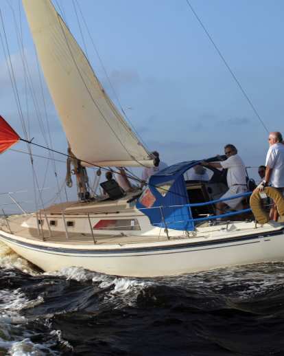 Set Sail on Charlotte Harbor