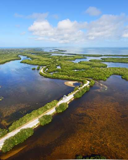 aerial view of ding darling wildlife community grasslands with a highway running next to the water