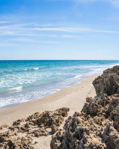Hutchinson Island - Ross Witham Beach - Ground