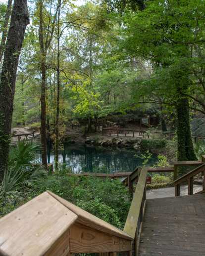 Madison Blue Spring State Park