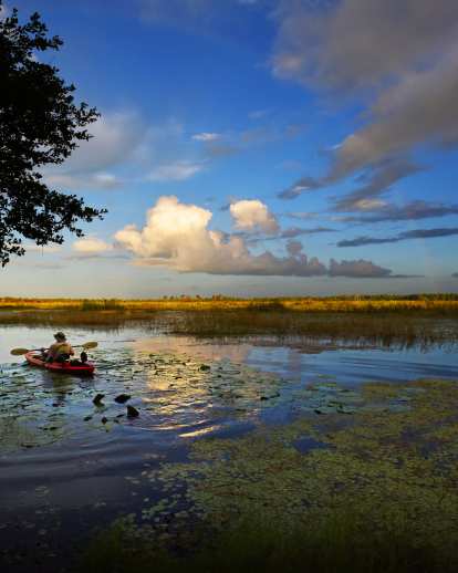SAVANNAS PRESERVE STATE PARK