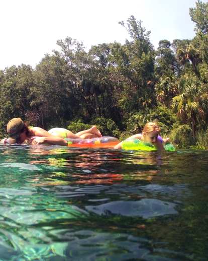 Visitors flock to Alexander Springs Recreation Area to swim, snorkel, dive, canoe, hike and just chill in Ocala National Forest.