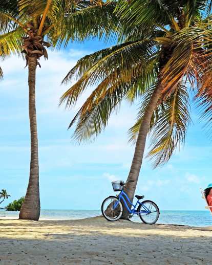 A beach cruiser bicycle stands against a palm tree. A woman in an Adirondack chair reads at the shoreline as ocean laps at her feet.