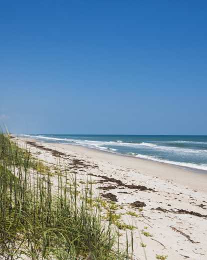 shoreline