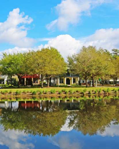 houses across the water