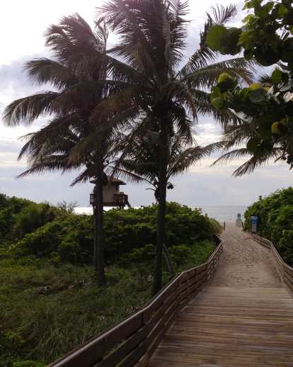 Ocean Beach Park
