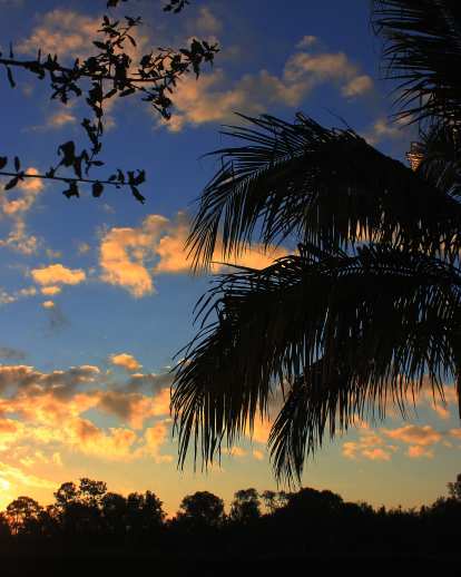 Sunrise paints a beautiful picture over Estero.