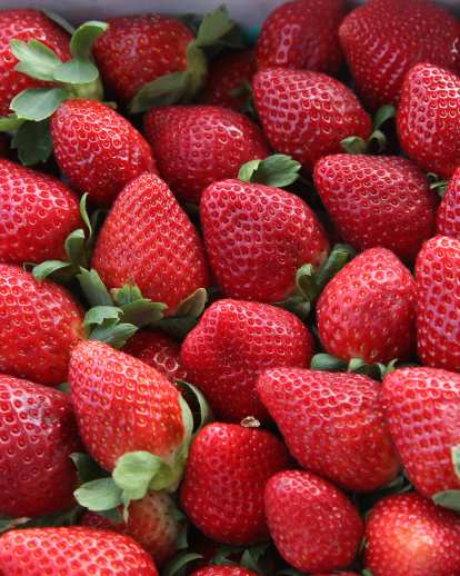 strawberries