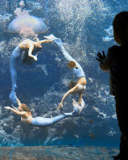 girl watching mermaids at Weeki Wachi