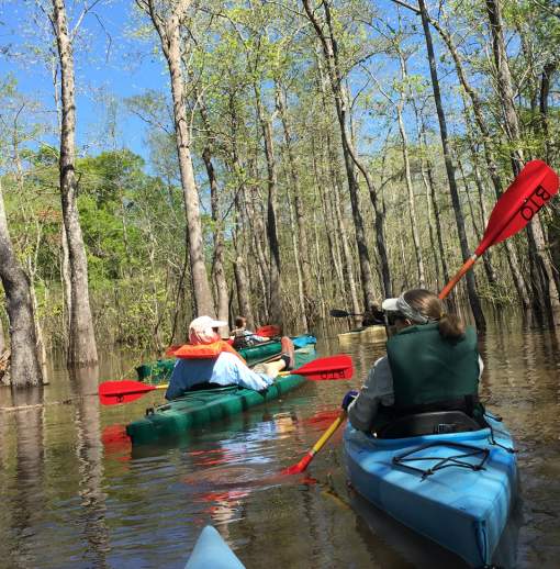 Top 5 Things to Do this Summer in Beaumont