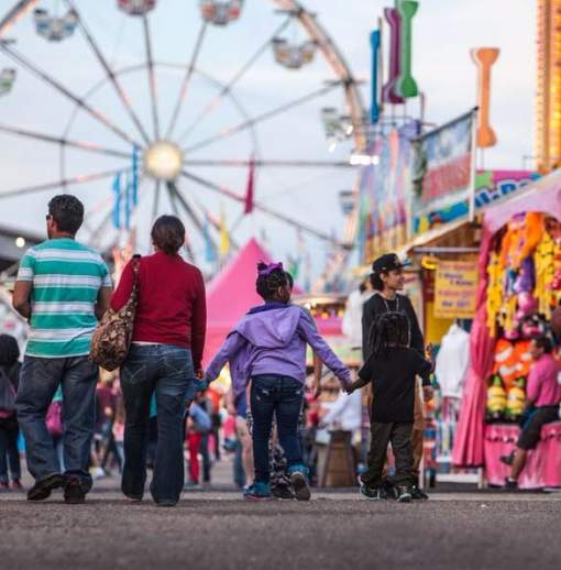 2023 Guide to the YMBL South Texas State Fair