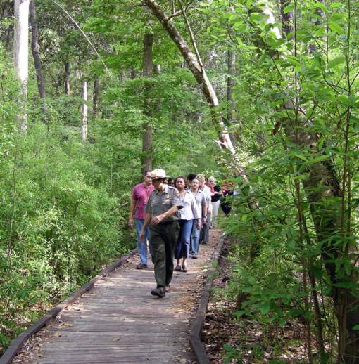 Big Thicket National Preserve Ranger Hike