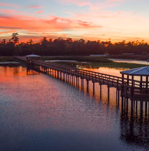 Cattail Marsh Scenic Wetlands Boardwalk Now Open