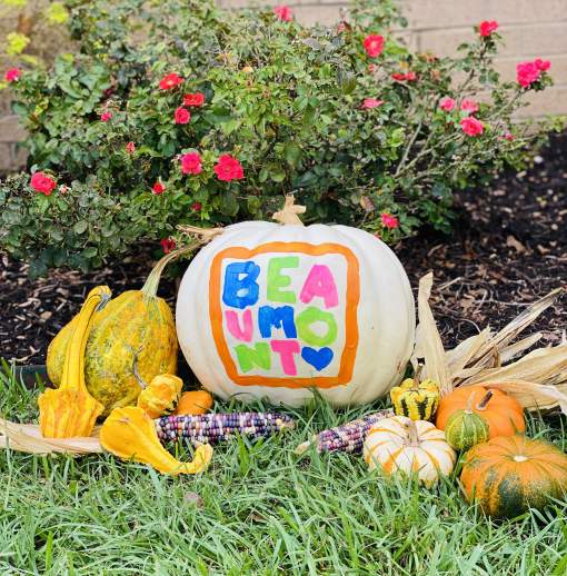 Welcome to BOO-mont!