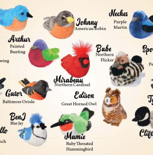 Meet the Birdies