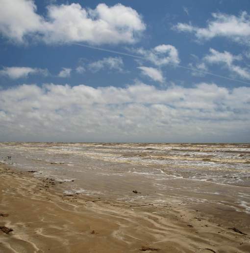 Sea Rim State Park