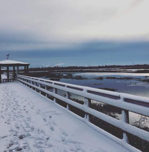 A Winter Wonderland In Beaumont
