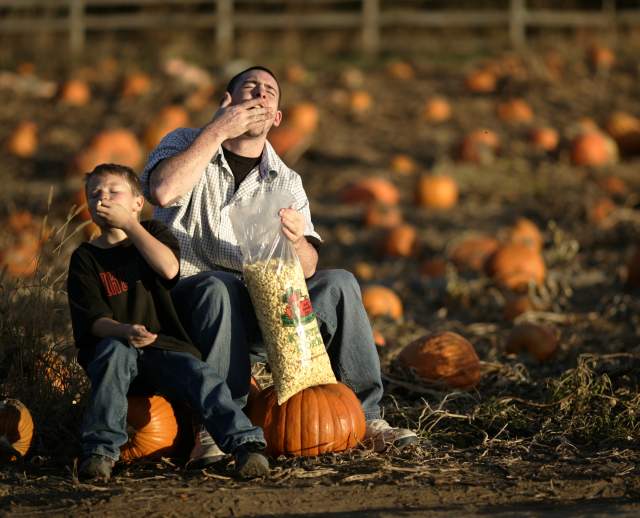 Fall Fun in Omaha, Part 1: Seasonal Attractions