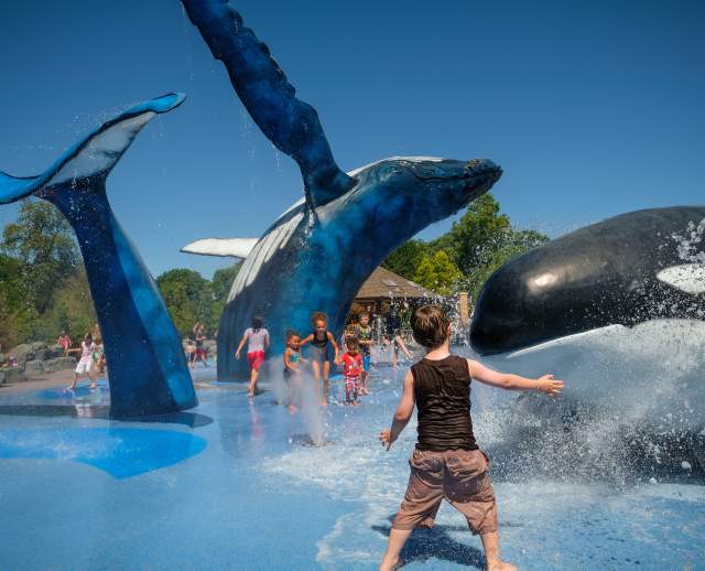 10 Things to Do in June in Omaha