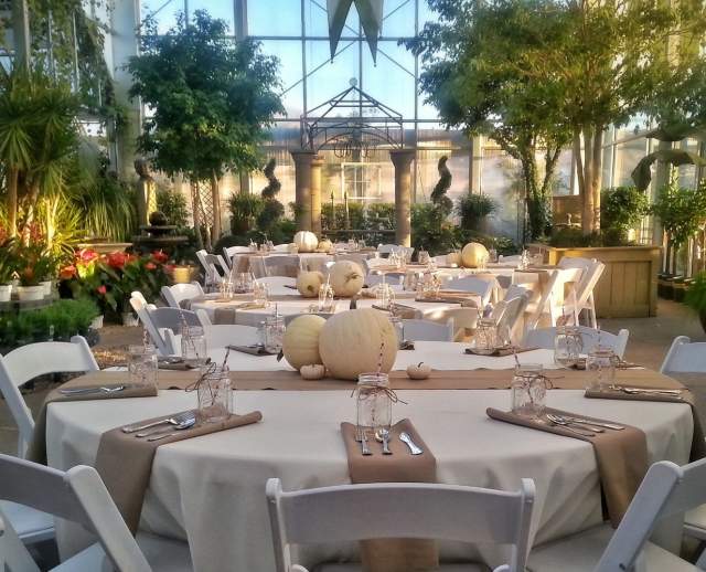 Wedding at Cactus & Tropicals