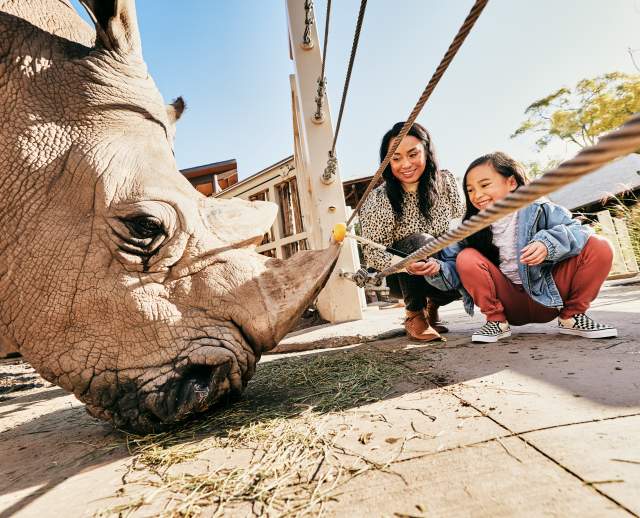 Mom and daughter petting a rhino at Utah's Hogle Zoo