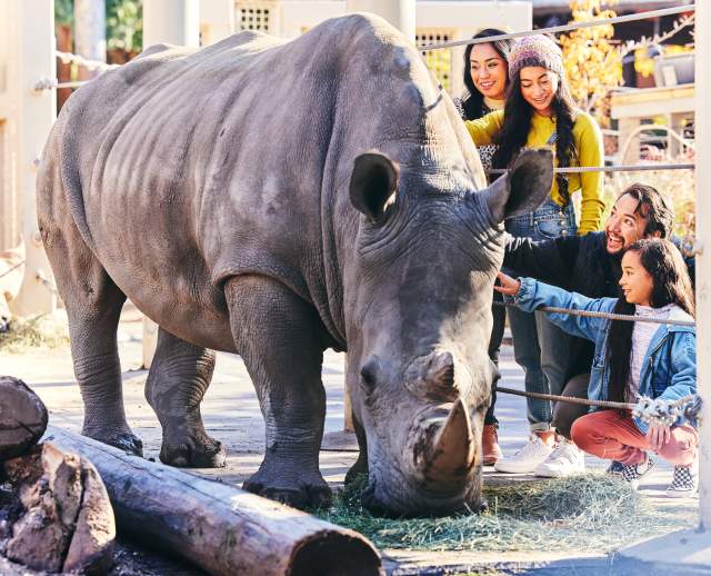 Family petting rhino at the Hogle Zoo