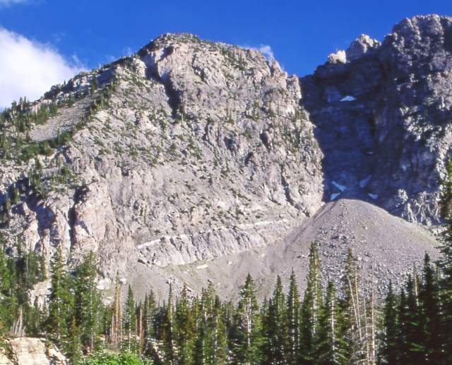 Albion Basin in Little Cottonwood Canyon