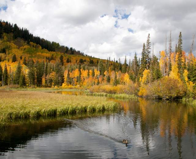 Silver Lake in Big Cottonwood Canyon