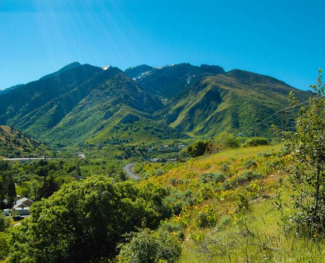Ferguson Canyon in Cottonwood Heights