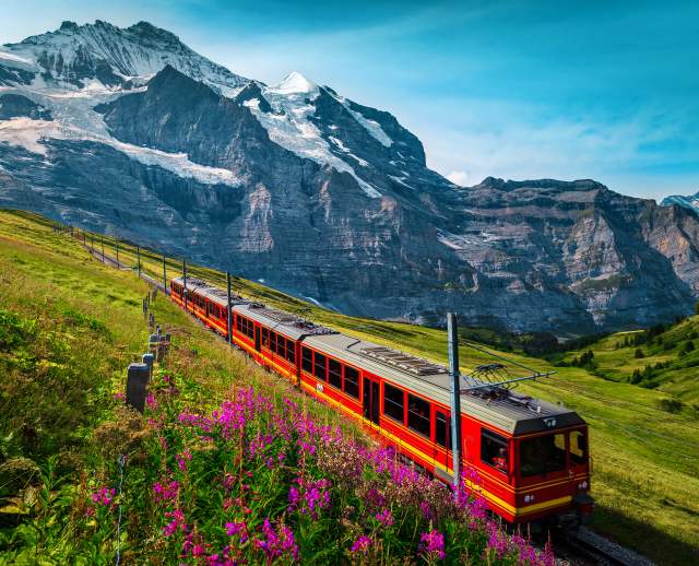 Red train traveling through a green mountainside field with snow covered swiss alps in the background