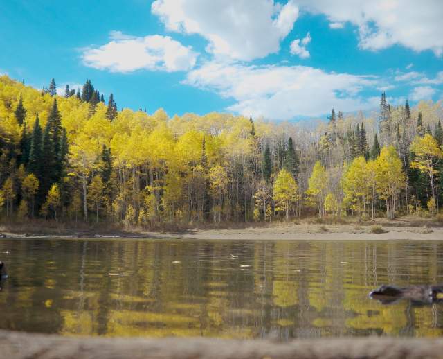 Dog Lake