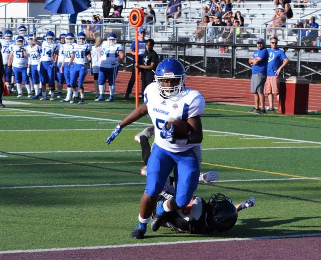 Utah Falconz Football