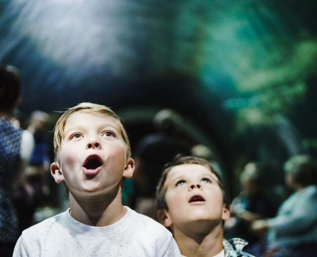 Kids at the Loveland Living Planet Aquarium