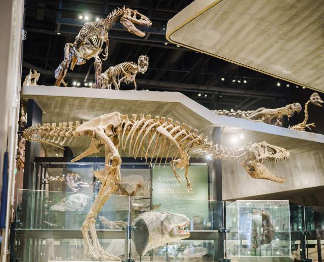 The Natural History Museum of Utah
