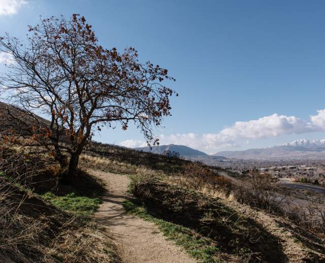 Mountain Trail Views in Draper