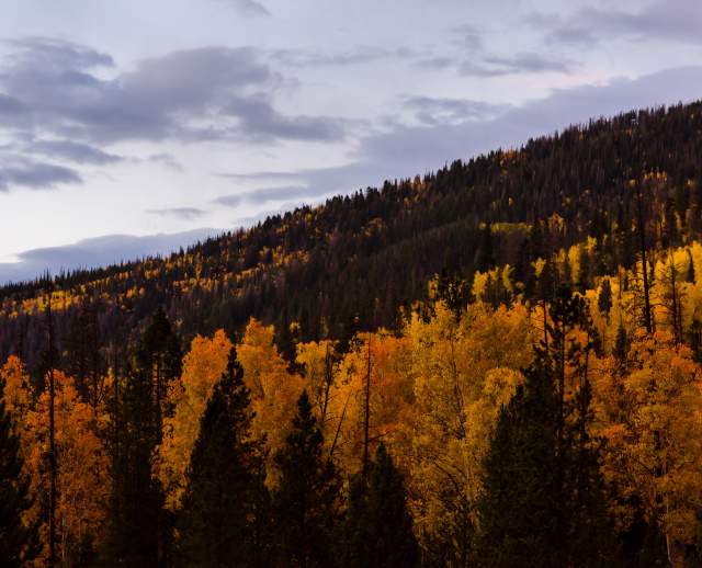 Autumn Trees at Mirror Lake Highway