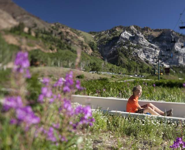 Kid on Alpine Slide at Snowbird