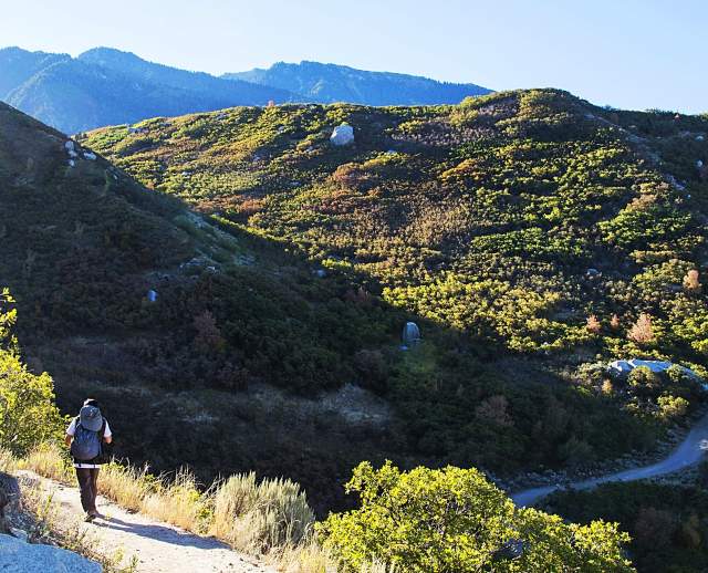 Bell Canyon Hike
