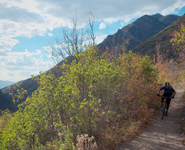 Mill Creek Pipeline Mountain Bike Trail via Rattlesnake Gluch