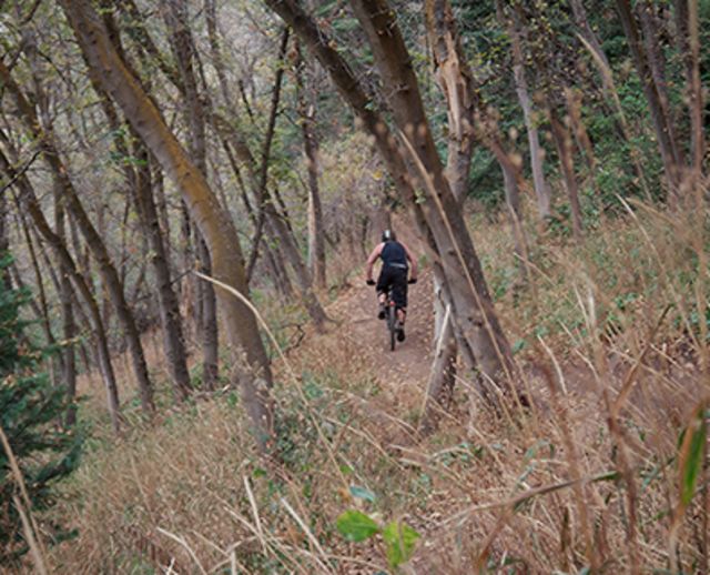 Mueller park mountain top bike trail
