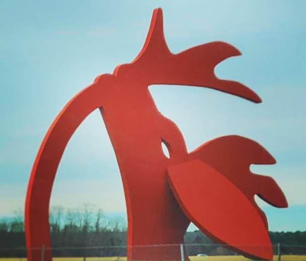 The Star Gazer, Manorville