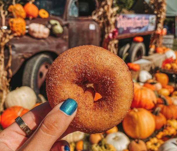 donut