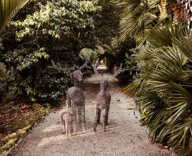 Tresco Abbey Garden Reindeer