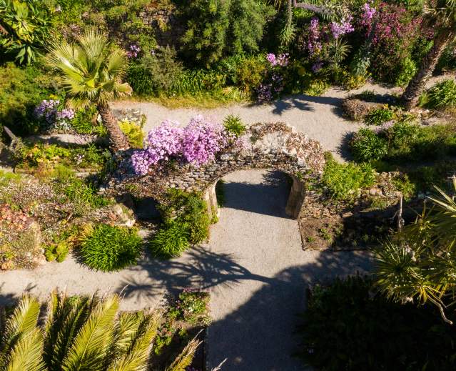 How a humble hedge created a heavenly garden