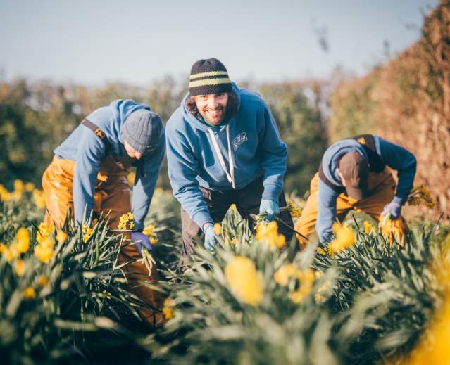 Growers & Producers