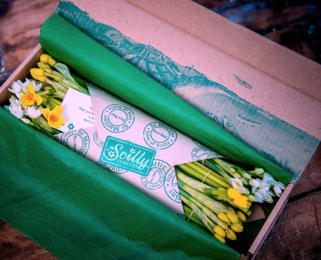Mother's Day Scilly Flowers